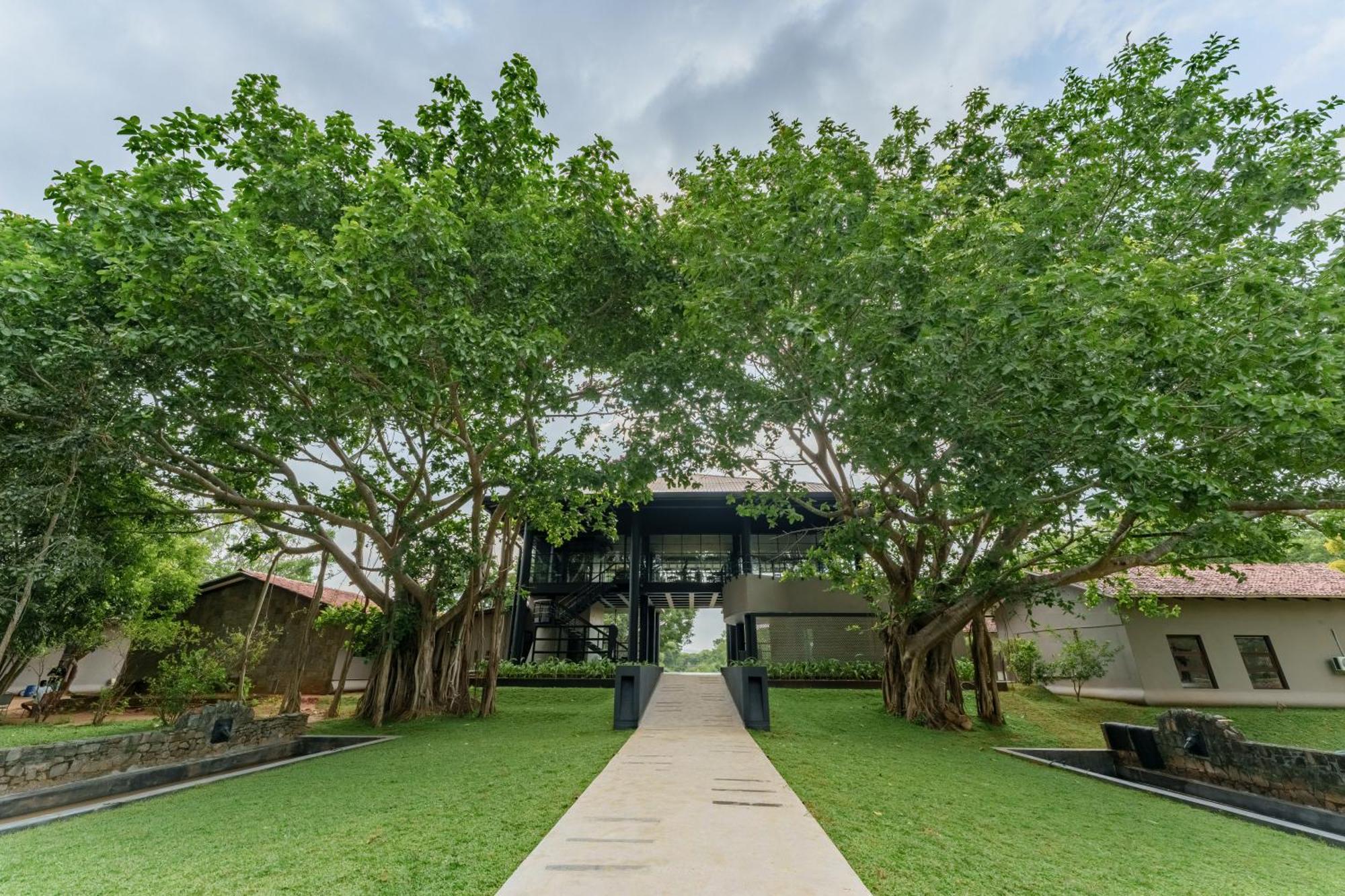 Ayugiri Ayurveda Wellness Resort Sigiriya Eksteriør billede