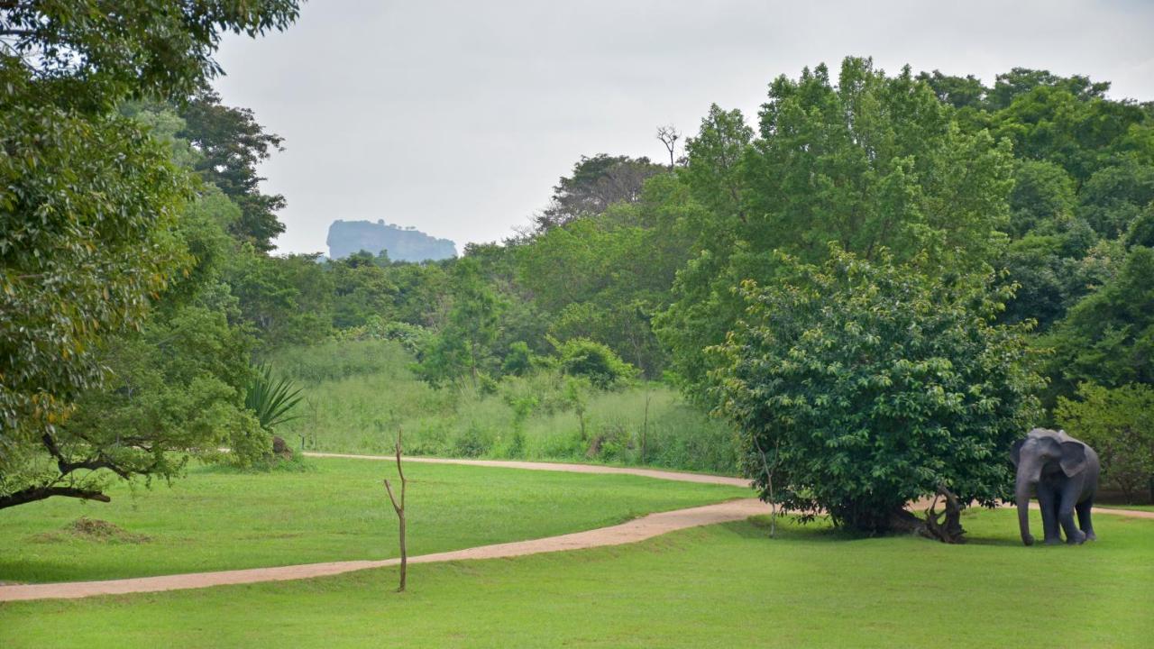 The Elephant Corridor Hotel Sigiriya Eksteriør billede